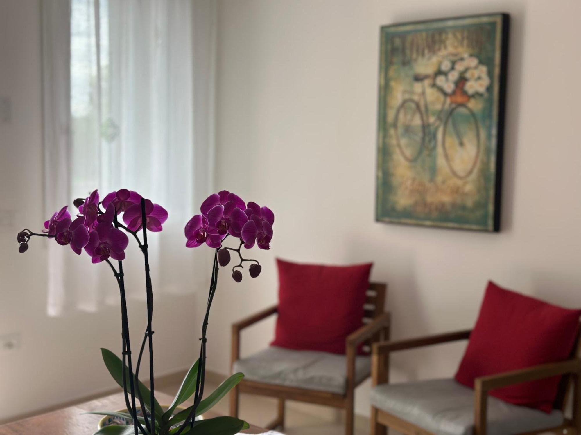 Corte Monfardina Adria Zewnętrze zdjęcie